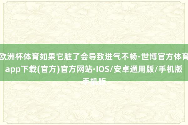 欧洲杯体育如果它脏了会导致进气不畅-世博官方体育app下载(官方)官方网站·IOS/安卓通用版/手机版