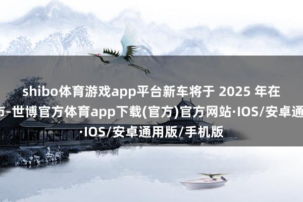 shibo体育游戏app平台新车将于 2025 年在欧洲领先上市-世博官方体育app下载(官方)官方网站·IOS/安卓通用版/手机版