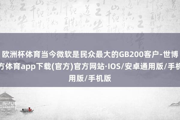 欧洲杯体育当今微软是民众最大的GB200客户-世博官方体育app下载(官方)官方网站·IOS/安卓通用版/手机版