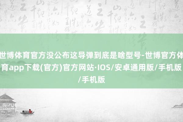 世博体育官方没公布这导弹到底是啥型号-世博官方体育app下载(官方)官方网站·IOS/安卓通用版/手机版