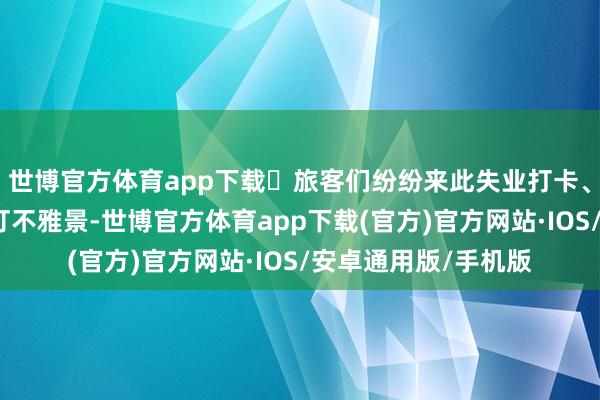 世博官方体育app下载‌旅客们纷纷来此失业打卡、品味好意思食、赏灯不雅景-世博官方体育app下载(官方)官方网站·IOS/安卓通用版/手机版