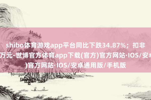 shibo体育游戏app平台同比下跌34.87%；扣非净利润9823.05万元-世博官方体育app下载(官方)官方网站·IOS/安卓通用版/手机版