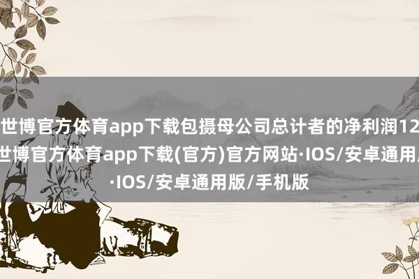 世博官方体育app下载包摄母公司总计者的净利润12.65亿元-世博官方体育app下载(官方)官方网站·IOS/安卓通用版/手机版