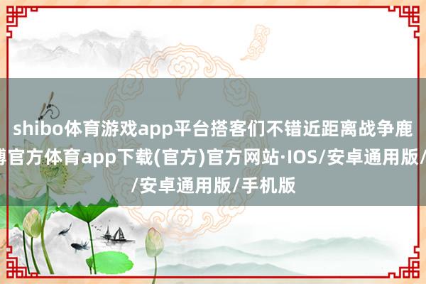 shibo体育游戏app平台搭客们不错近距离战争鹿群-世博官方体育app下载(官方)官方网站·IOS/安卓通用版/手机版