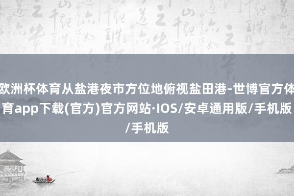 欧洲杯体育从盐港夜市方位地俯视盐田港-世博官方体育app下载(官方)官方网站·IOS/安卓通用版/手机版