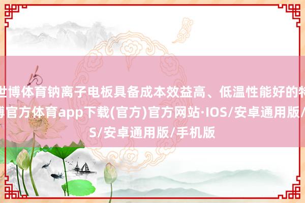 世博体育钠离子电板具备成本效益高、低温性能好的特质-世博官方体育app下载(官方)官方网站·IOS/安卓通用版/手机版