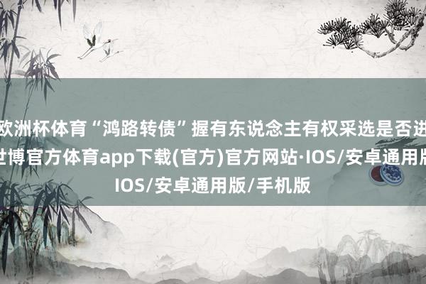 欧洲杯体育“鸿路转债”握有东说念主有权采选是否进行回售-世博官方体育app下载(官方)官方网站·IOS/安卓通用版/手机版