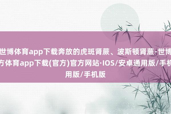 世博体育app下载奔放的虎斑肾蕨、波斯顿肾蕨-世博官方体育app下载(官方)官方网站·IOS/安卓通用版/手机版