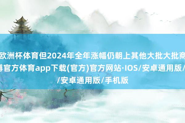 欧洲杯体育但2024年全年涨幅仍朝上其他大批大批商品-世博官方体育app下载(官方)官方网站·IOS/安卓通用版/手机版