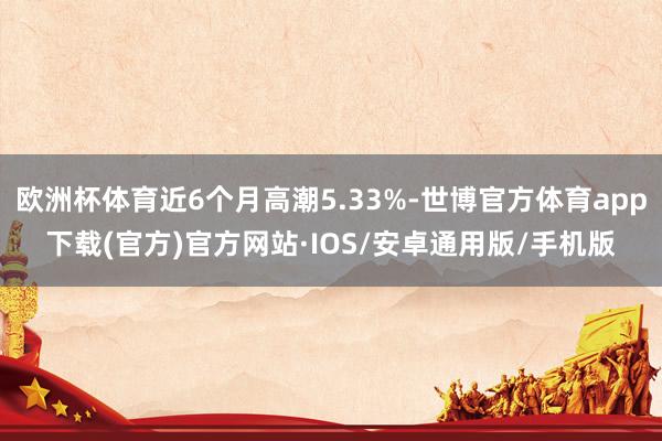 欧洲杯体育近6个月高潮5.33%-世博官方体育app下载(官方)官方网站·IOS/安卓通用版/手机版