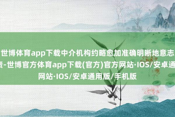 世博体育app下载中介机构约略愈加准确明晰地意志自己责任职责-世博官方体育app下载(官方)官方网站·IOS/安卓通用版/手机版